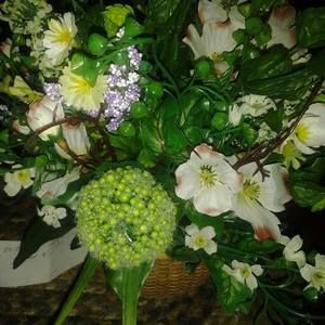 Meet your Posher, Nancy